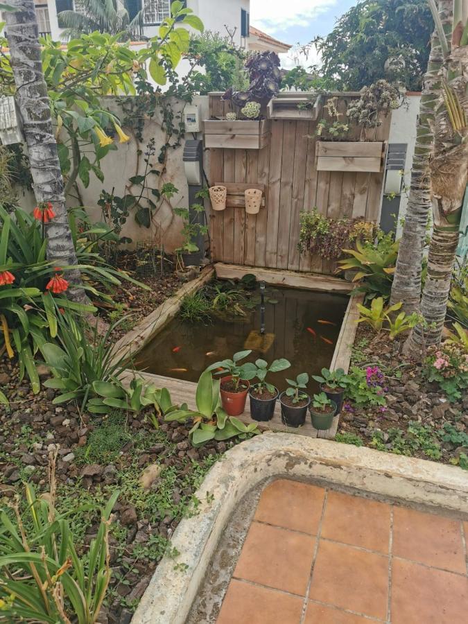 Apartament Jardin44 Santa Úrsula Zewnętrze zdjęcie