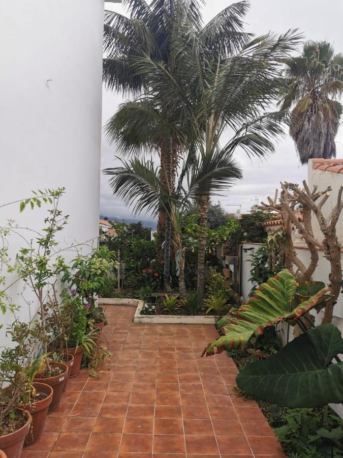 Apartament Jardin44 Santa Úrsula Zewnętrze zdjęcie